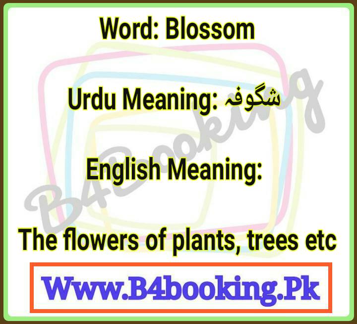 Blossom Meanings In English and In Urdu its Pronunciation
