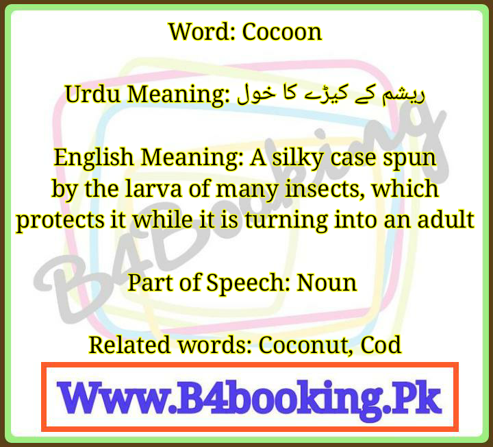 Cocoon Meaning In Urdu and English It s Pronounciation